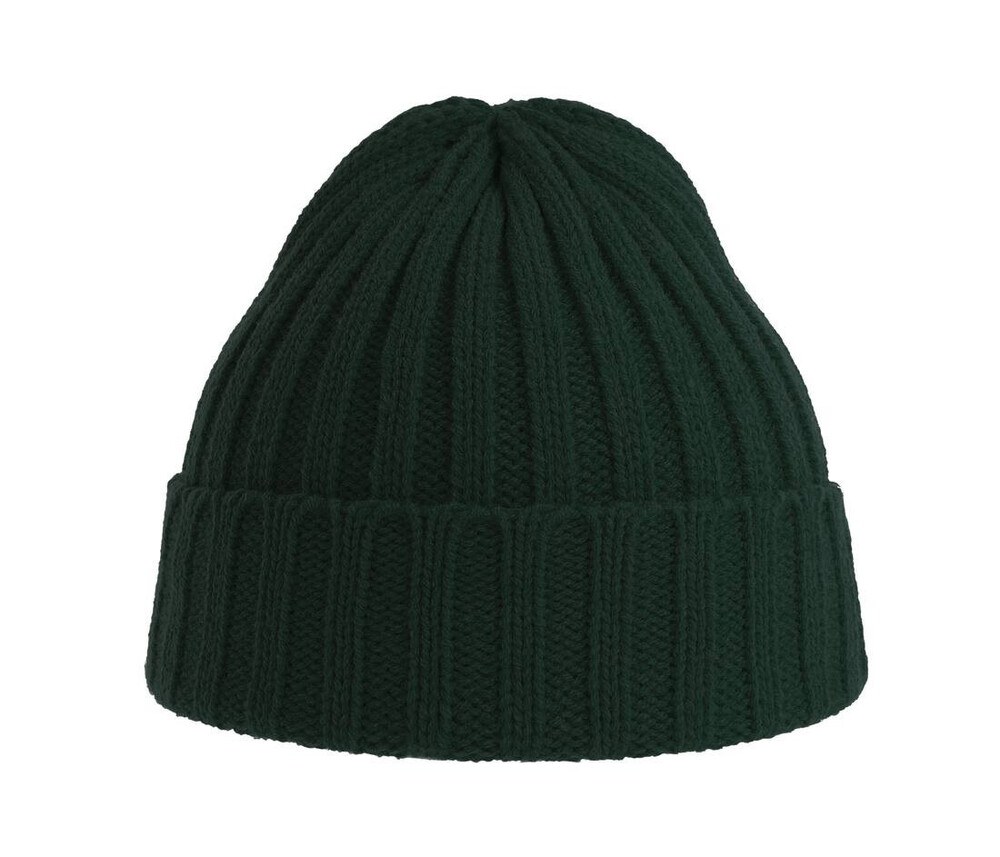 Atlantis AT207 - Recycled polyester beanie