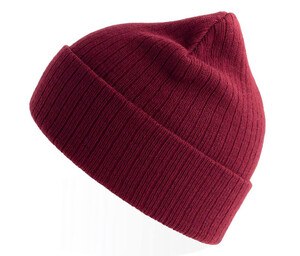 Atlantis AT208 - Recycled polyester beanie