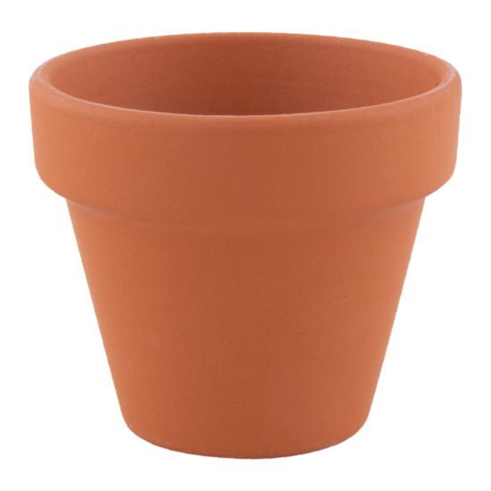 EgotierPro 50549 - Terracotta Pot with Basil Seeds & Soil BASIL